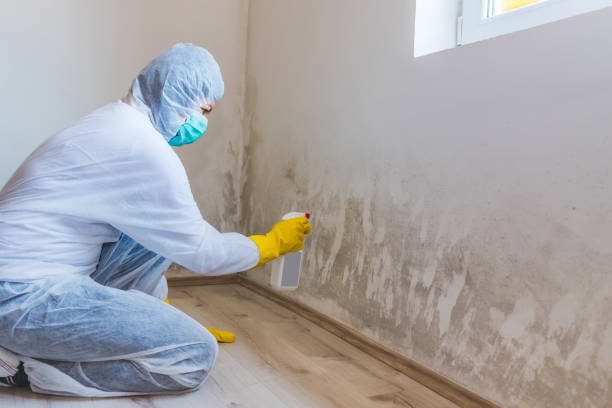 Hvac And Air Duct Mold Remediation inspection of HVAC system in Erie